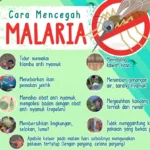 Malaria Penyebab Komplikasi