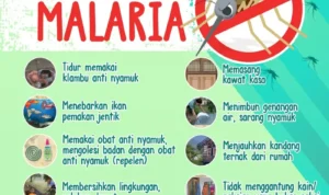 Malaria Penyebab Komplikasi