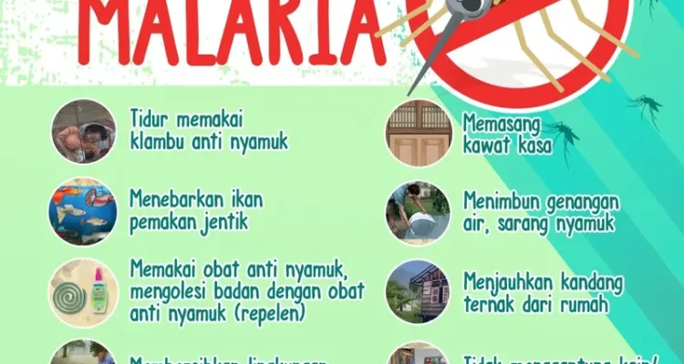 Malaria Penyebab Komplikasi